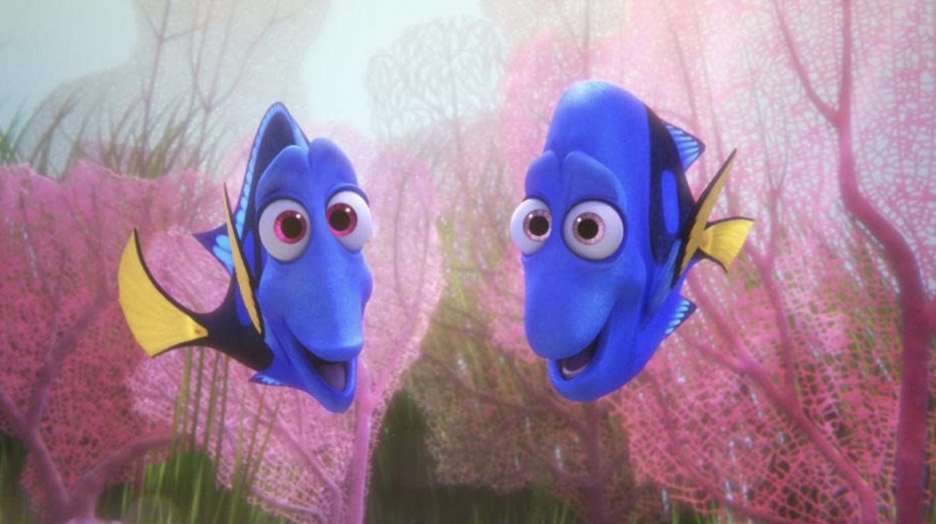 Illustration associée à la mémoire des poissons