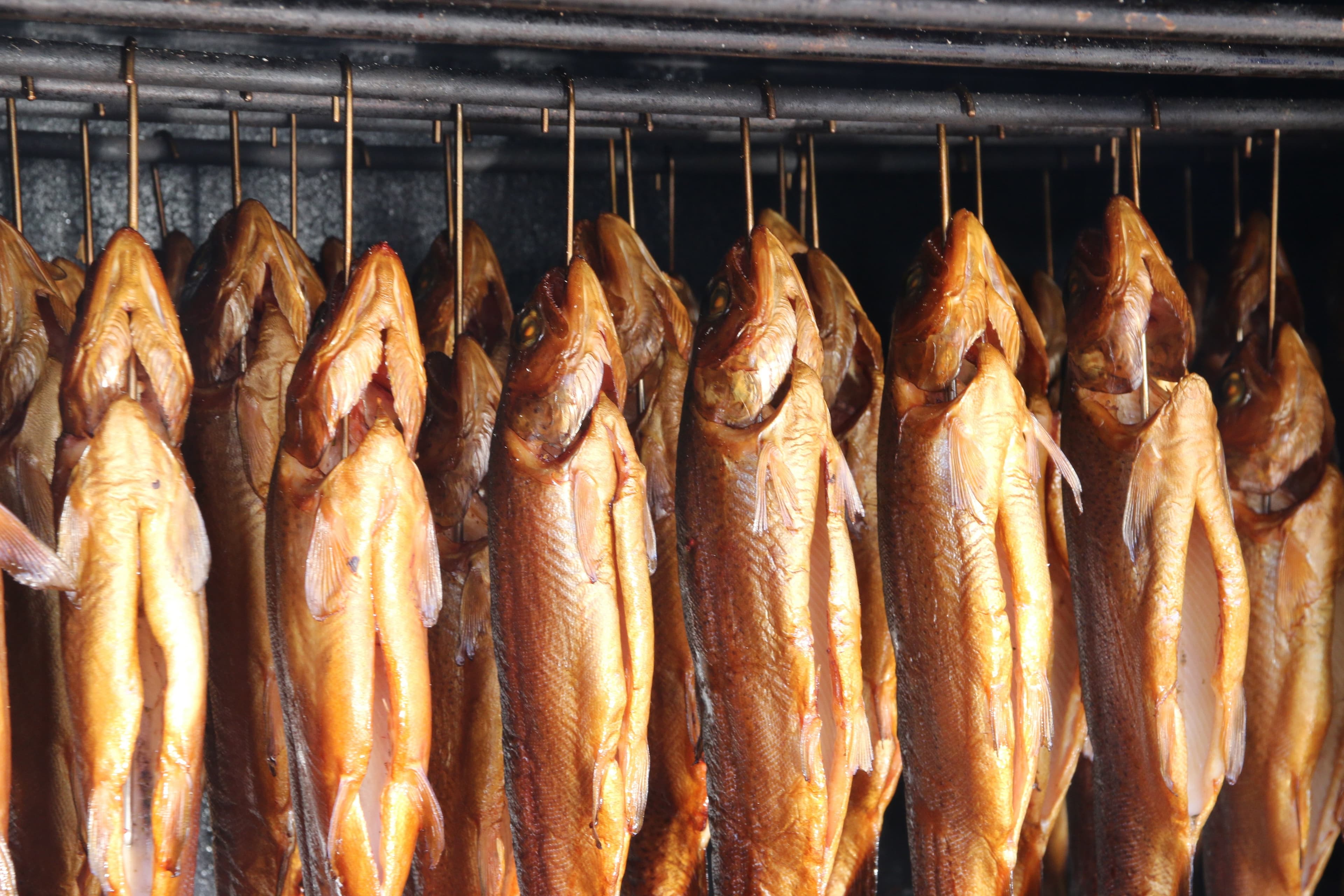 Illustration associée à la consommation des poissons
