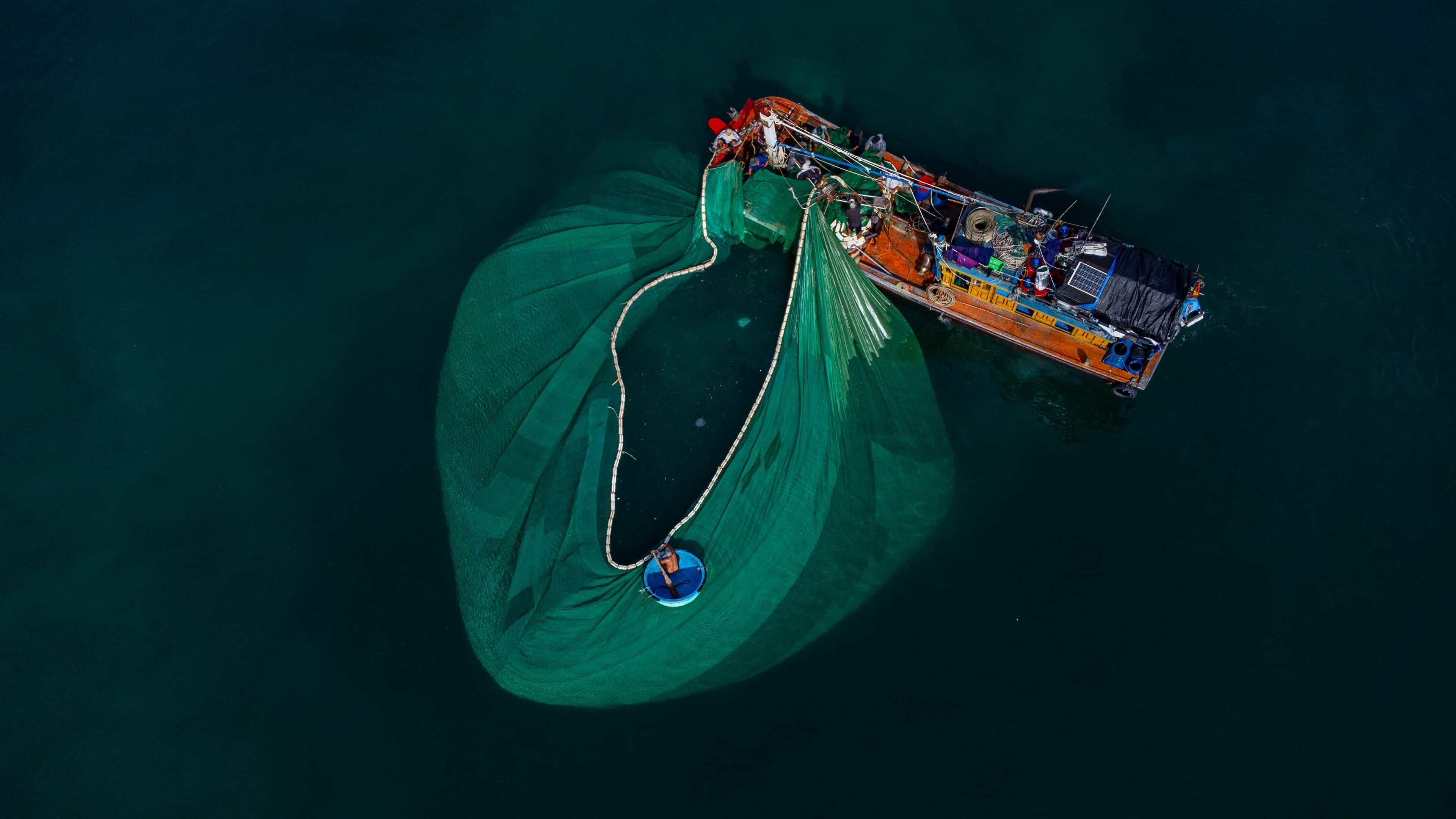 Illustration associée à la pêche et à l’élevage des poissons